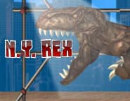 New York Rex