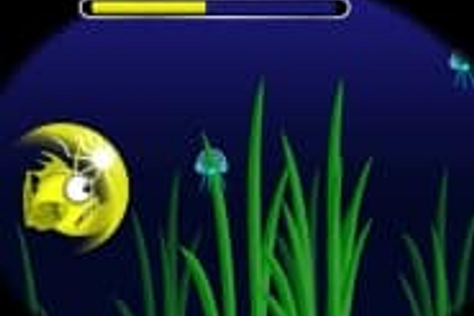 Flash Fish Freddie