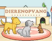 Animal Shelter Decoration