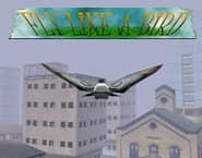 Fly like a Bird 1