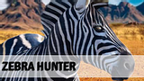 Zebra Hunter
