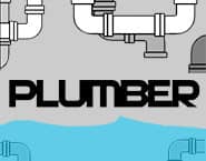 The Plumber