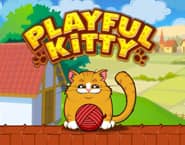 Playful Kitty
