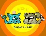 Fleabag vs. Mutt