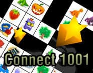 Connect 1001